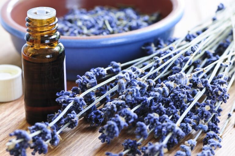 Home Care Services in Villa Hills KY: Essential Oils for Seniors